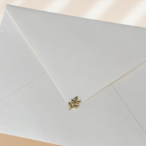 LACRE PARA CONVITE FOLHA LINEA BOTÂNICA 2,5 - Noiva de Laco
